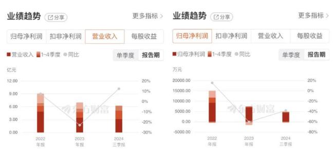 美邦股份10连板后遭遇跌停！2025年首支翻倍股能否“开心过年”？