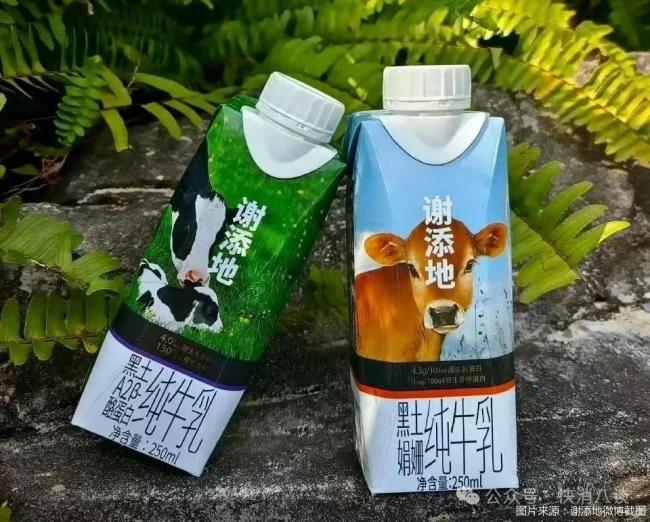 从综艺冠名到奶咖联名：谢添地为何砸钱营销却难造爆款？