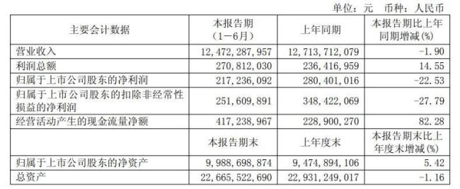 图源：财报截图