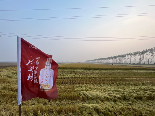 水井坊：扎根产区，以长期深耕构筑对外开放合作的实践范本