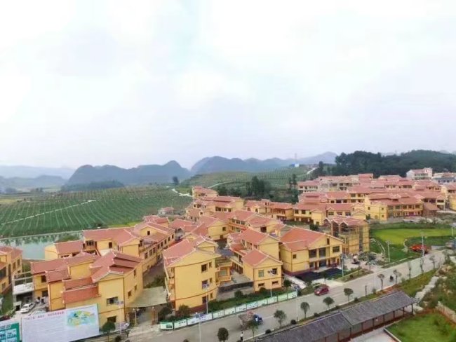 從平壩灰鵝“三產(chǎn)融合”到凱里酸湯規(guī)模擴(kuò)張，新希望助力貴州多地產(chǎn)業(yè)帶動(dòng)鄉(xiāng)村經(jīng)濟(jì)發(fā)展