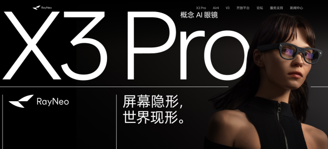 图源:雷鸟官网截图