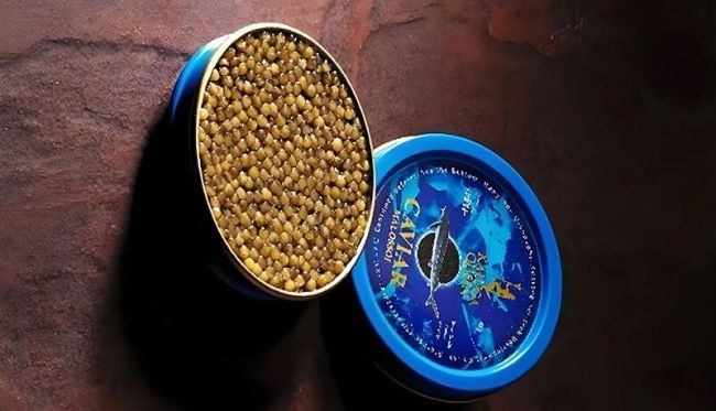 鱼子酱龙头鲟龙科技转战港股