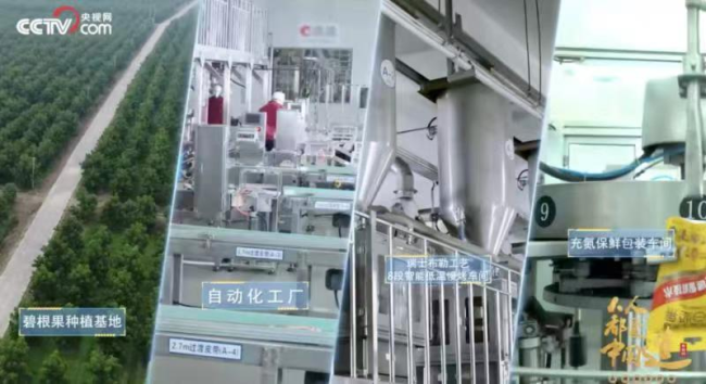 坚果行业唯一!洽洽食品斩获“十四五”双项殊荣