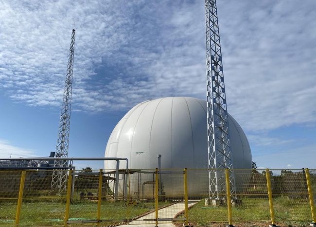 水井坊扎根本土，助力产区高质量发展