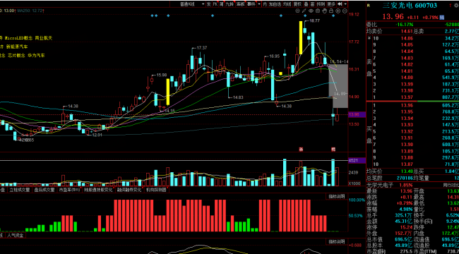 “中国LED大王”被立案看望