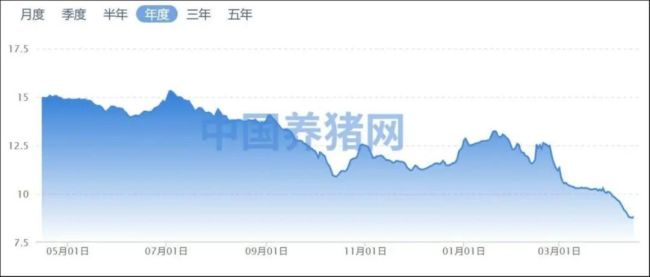 猪价创10年新低，猪肉股为何先涨？