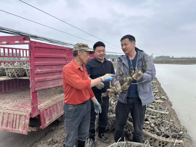 张海晖与栽藕工交流。记者张衡 摄