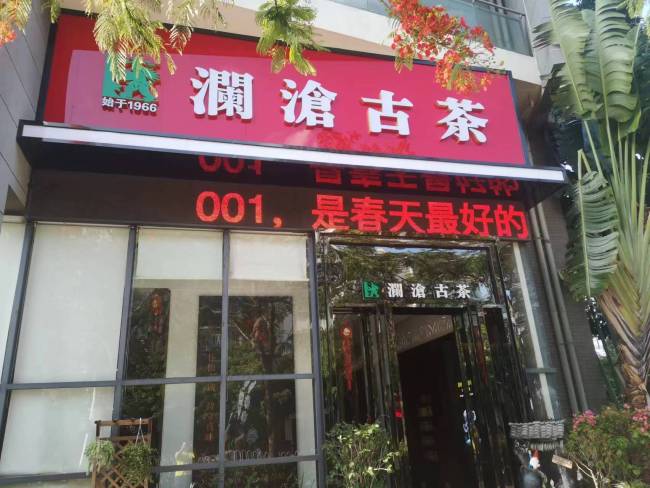 澜沧古茶预计中期扭亏为盈，治理与经营双线升级