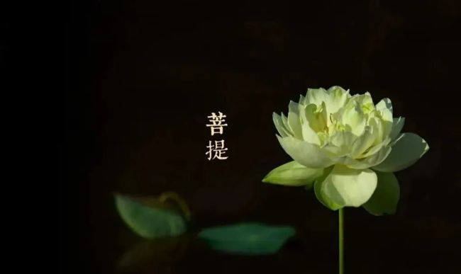 “三宝门中福好修”，如何得到三宝的加持护佑呢？