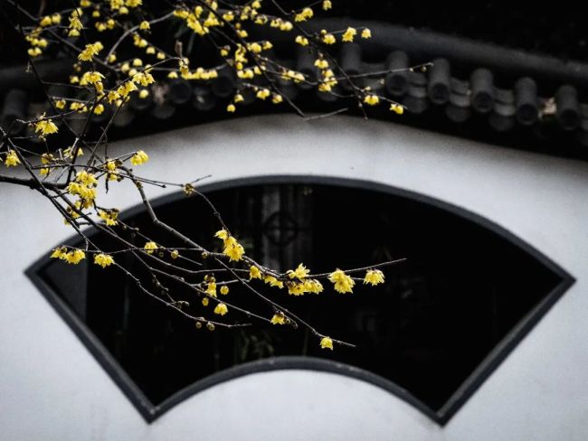 弥醯的独修挫折