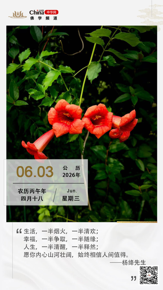 人间值得
