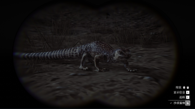 《荒野大镖客2》动物沙漠鬣蜥在哪里找