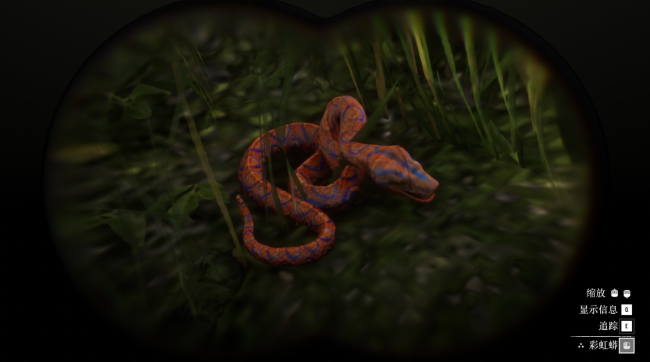 《荒野大镖客2》动物彩虹蟒蛇在哪里找