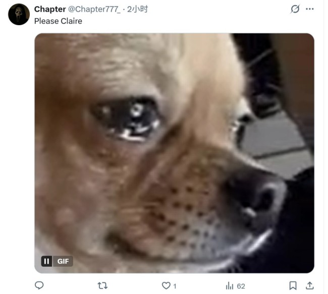 王大姨会有吗？《生化危境9》可能还有别的扮装出现