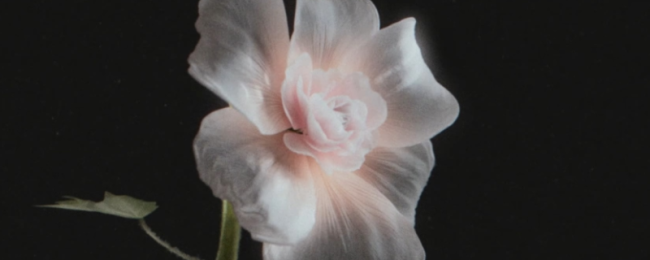 《月球任务》照片3内容及位置分享