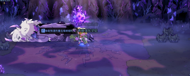 《熔炉密林》打钱流配装指南