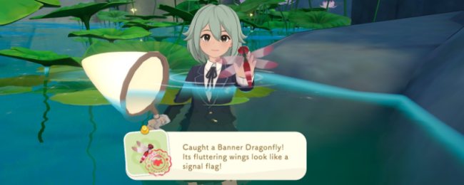 《星砂岛》布鲁斯送礼指南