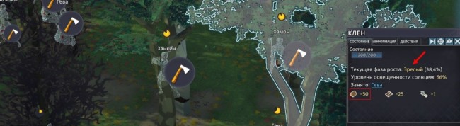 《走向中世纪》新手的误解介绍