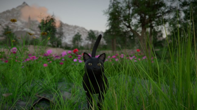 240格也不够！《红色沙漠》背包问题依旧让人恼火