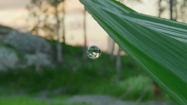 《红色沙漠》惊人细节 一颗小水珠竟能倒映周遭环境