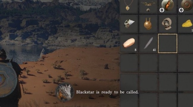 玩家发现《红色沙漠》不错使用谈具移除骑龙冷却时辰