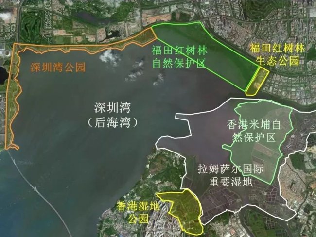 深圳有几个红树林公园?具体地址在哪