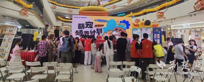 黄石举办“萌宠领养计划”，让“汪星人”有家可归
