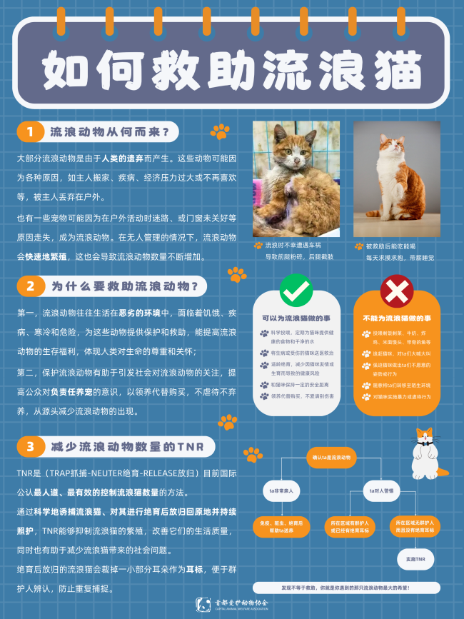 猫咪狗狗知识