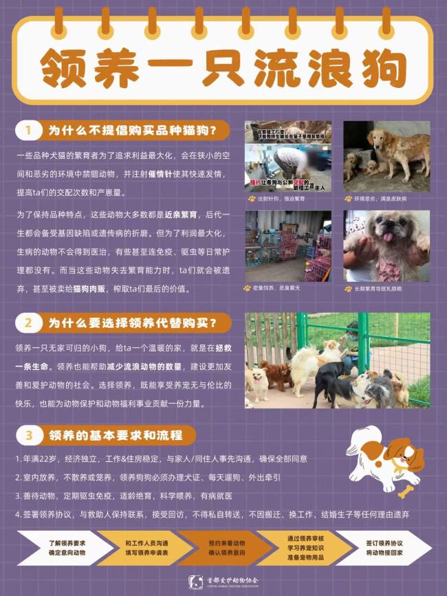 猫咪狗狗知识