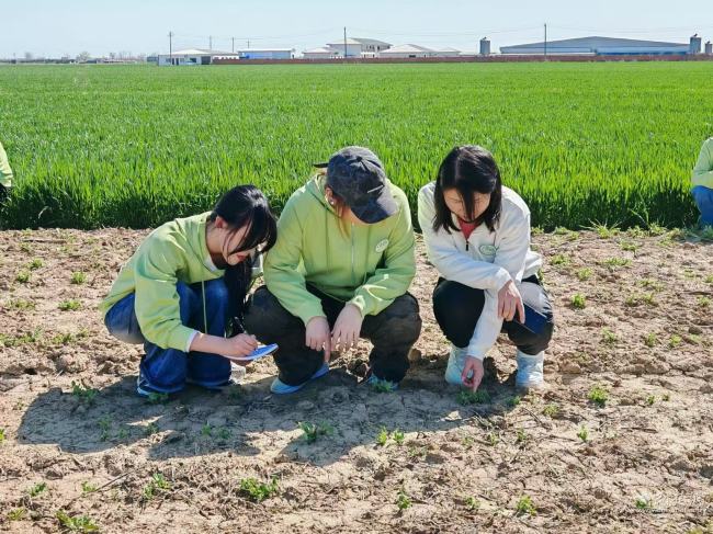 轻工大食品学子用脚步丈量民生温度