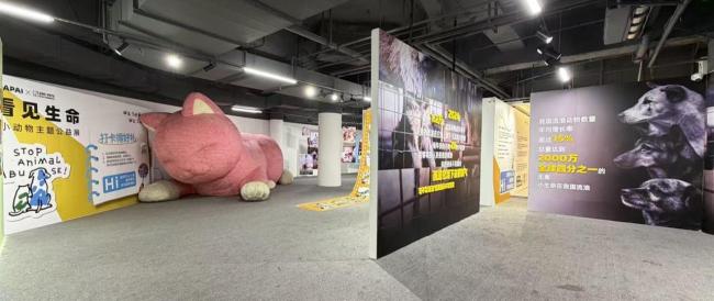 看见生命！这场公益展为无法说话的生命发声