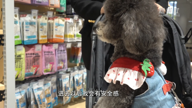 千亿“新赛道”的崛起密码|逛出幸福感:与“毛孩子”同行的城市地标