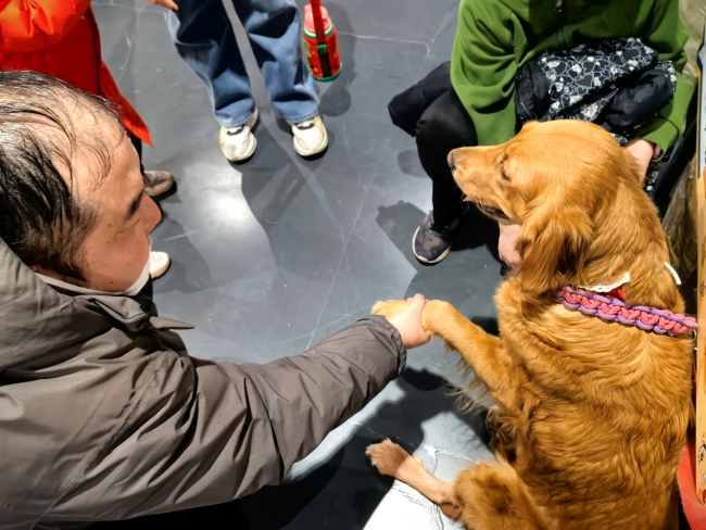 “暖冬新生”公益领养活动在京举行：以爱为桥，共筑人宠和谐社区