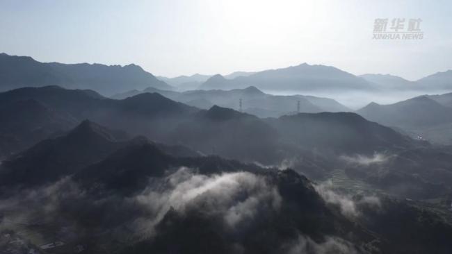 电助“金叶子”_打通山区致富路 图1