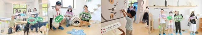 首都爱护动物协会举办第29届领养开放日，演员金晨爱心公益项目同步启动