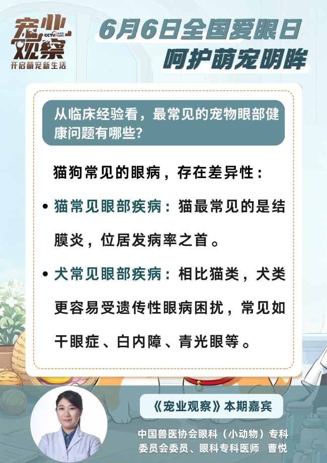 图说｜全国爱眼日：守护萌宠眼健康，这些护眼误区你踩过几个？