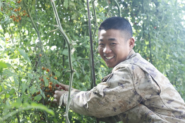 秋天，来和高原兵哥丰收大棚啦！