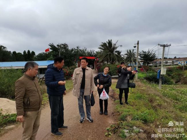 临高县农业农村局全力防范寒潮低温天气对水产养殖的影响