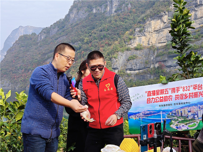 湖北巴东就业“直播星期五”公益直播一网三带助好农