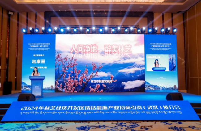 2024年林芝经济开发区清洁能源产业招商引资（武汉）推介会成功举办