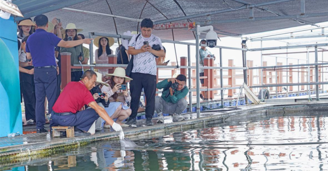 鹿鸣呦呦，江豚逐浪！荆楚大地成为“湿地精灵”栖息乐园