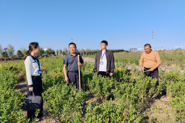 图为宜城市纪检监察干部在乡村振兴产业项目建设现场进行走访