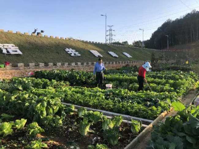 咸安浮山街道:以共同缔造理念加强城市管理 提升群众获得感幸福感安全感