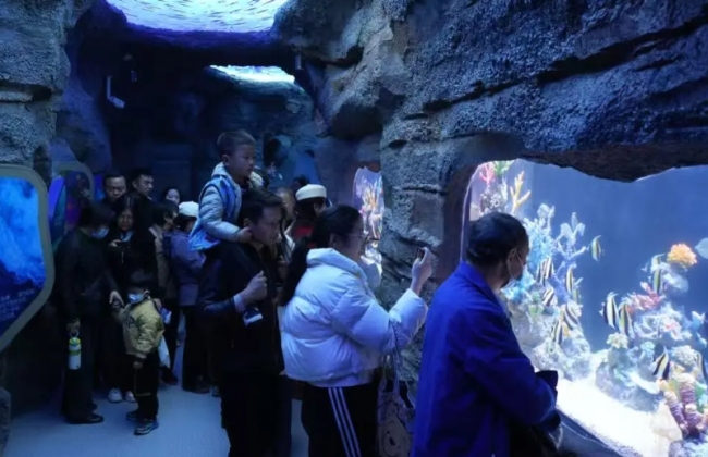 鹿鸣湖畔春日限定花海+游玩攻略，承包你的假期！