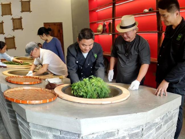 湖北十堰：古茶树收入《中国古茶树生态系统》一书