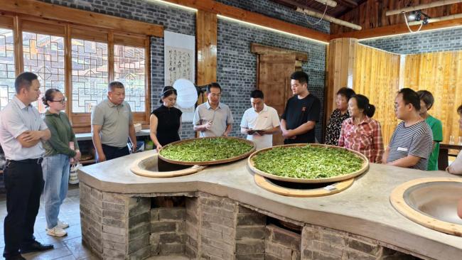 张湾区柏林镇： 茶教授把茶技送到茶农心窝里