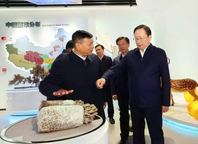 王忠林赴十堰调研 切实抓好党的二十届四中全会精神学习宣传贯彻 奋力打造鄂西区域中心城市
