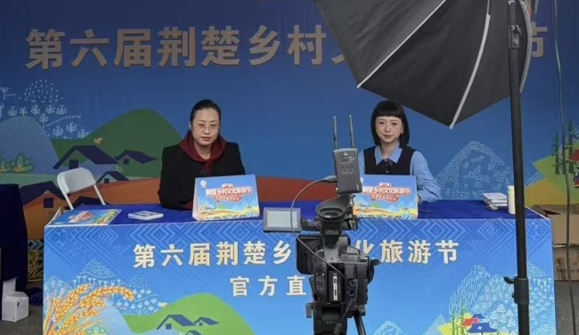 金融下乡新解法:让保险服务“沉”入乡村旅游场景