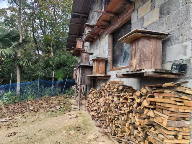 从贫困户到致富带头人:王良友的“甜蜜”事业